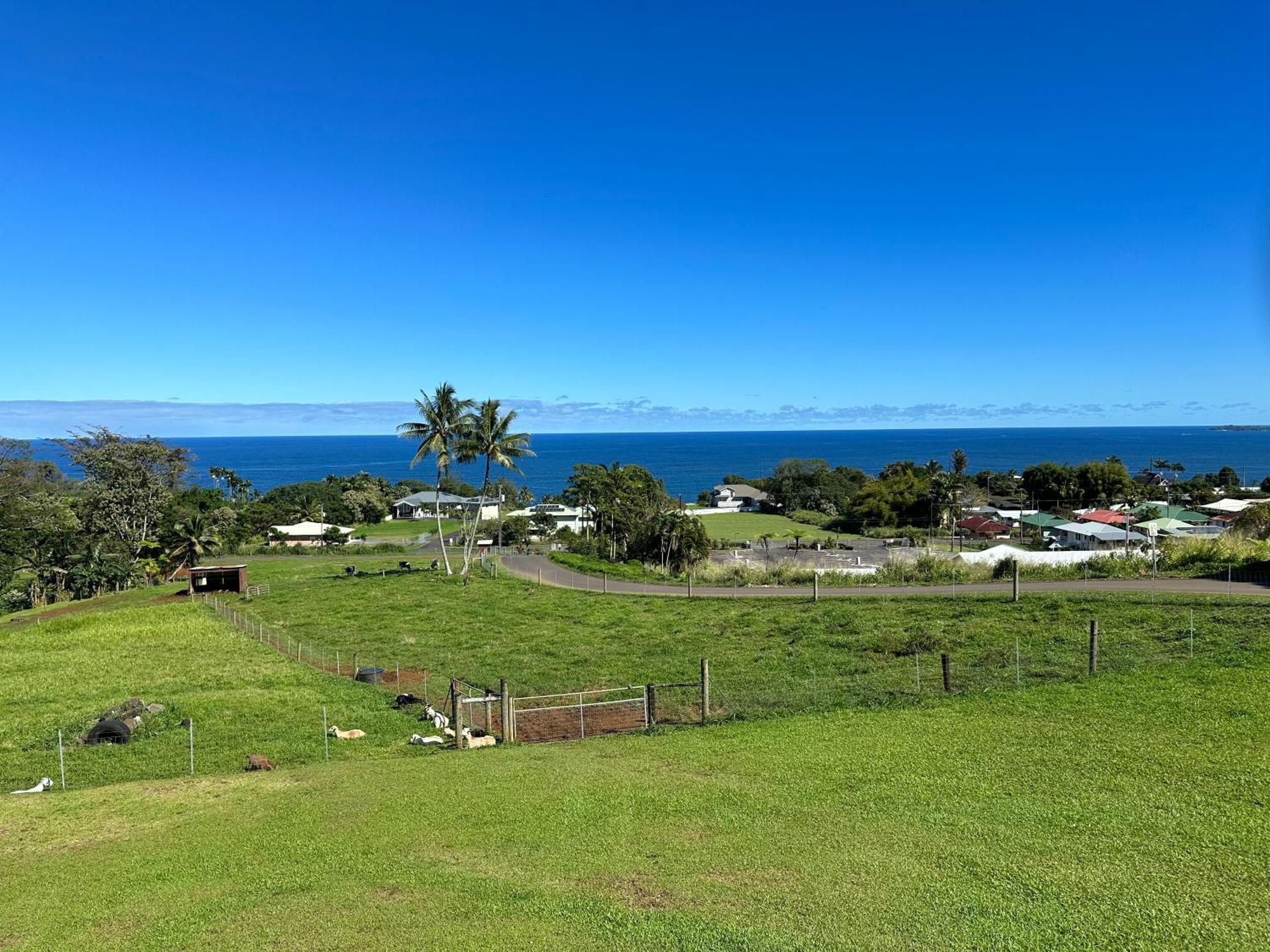 Hawaii Magic Skies Farmstay Paukaa Eksteriør bilde