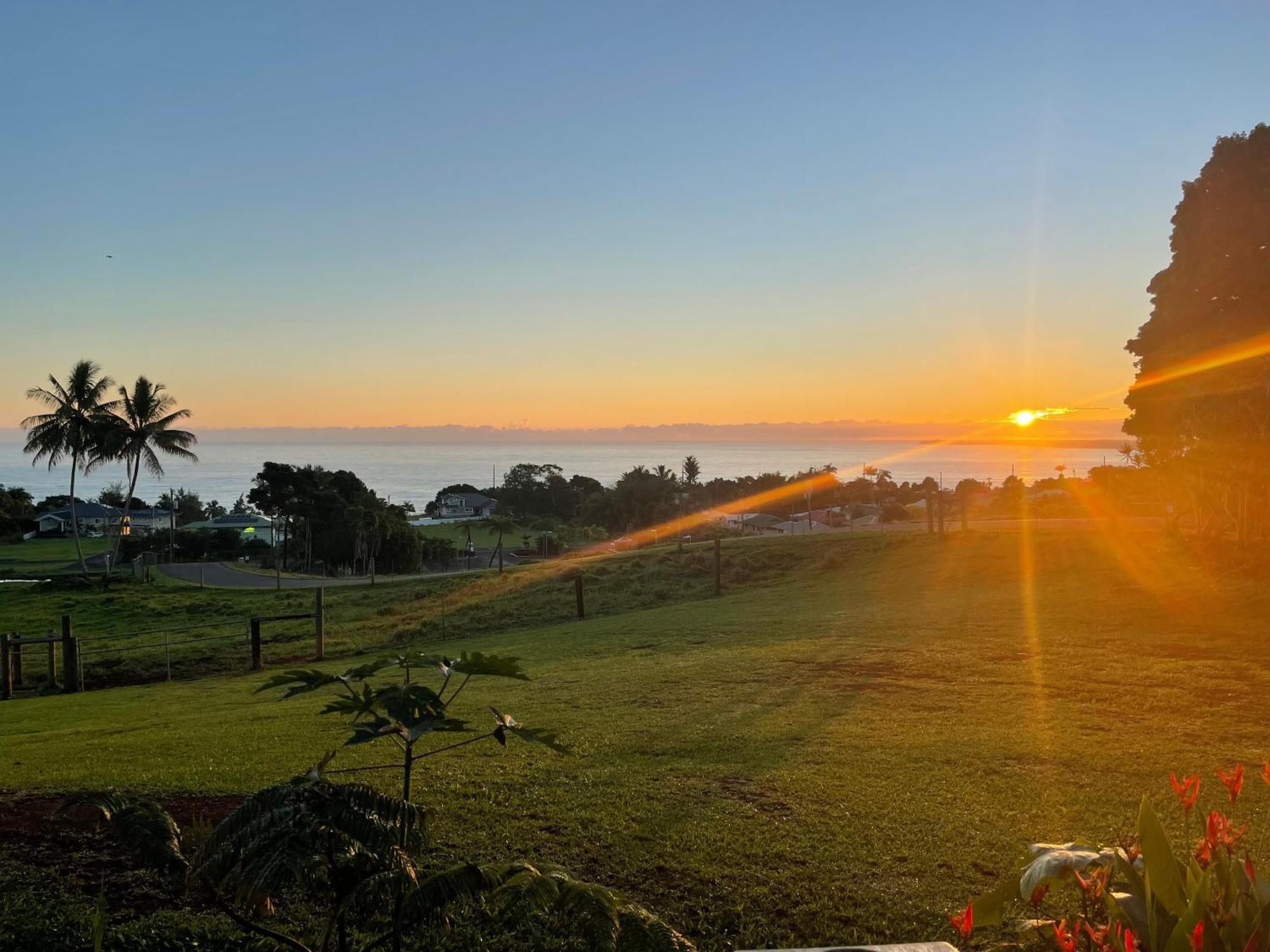 Hawaii Magic Skies Farmstay Paukaa Eksteriør bilde