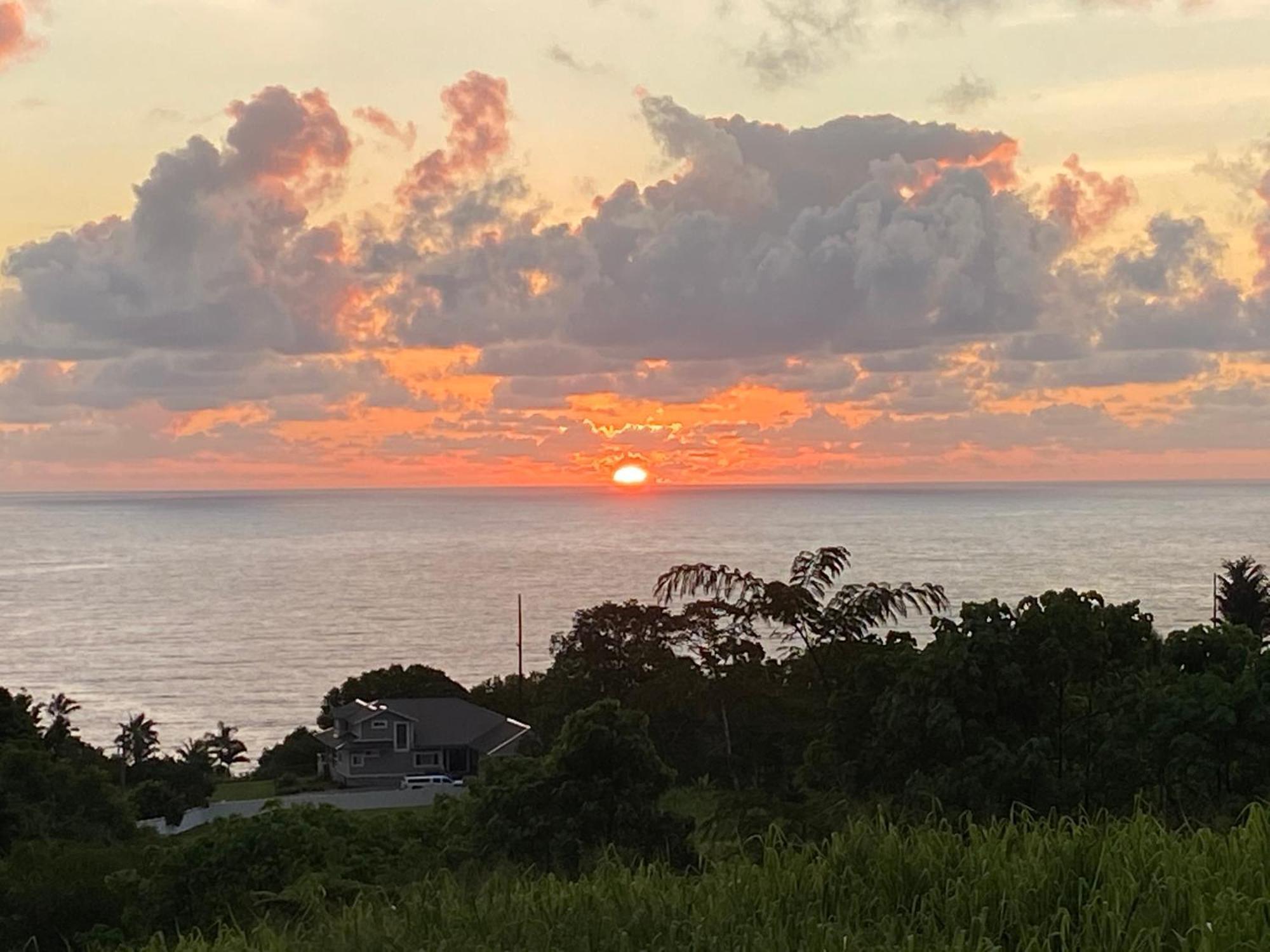 Hawaii Magic Skies Farmstay Paukaa Eksteriør bilde