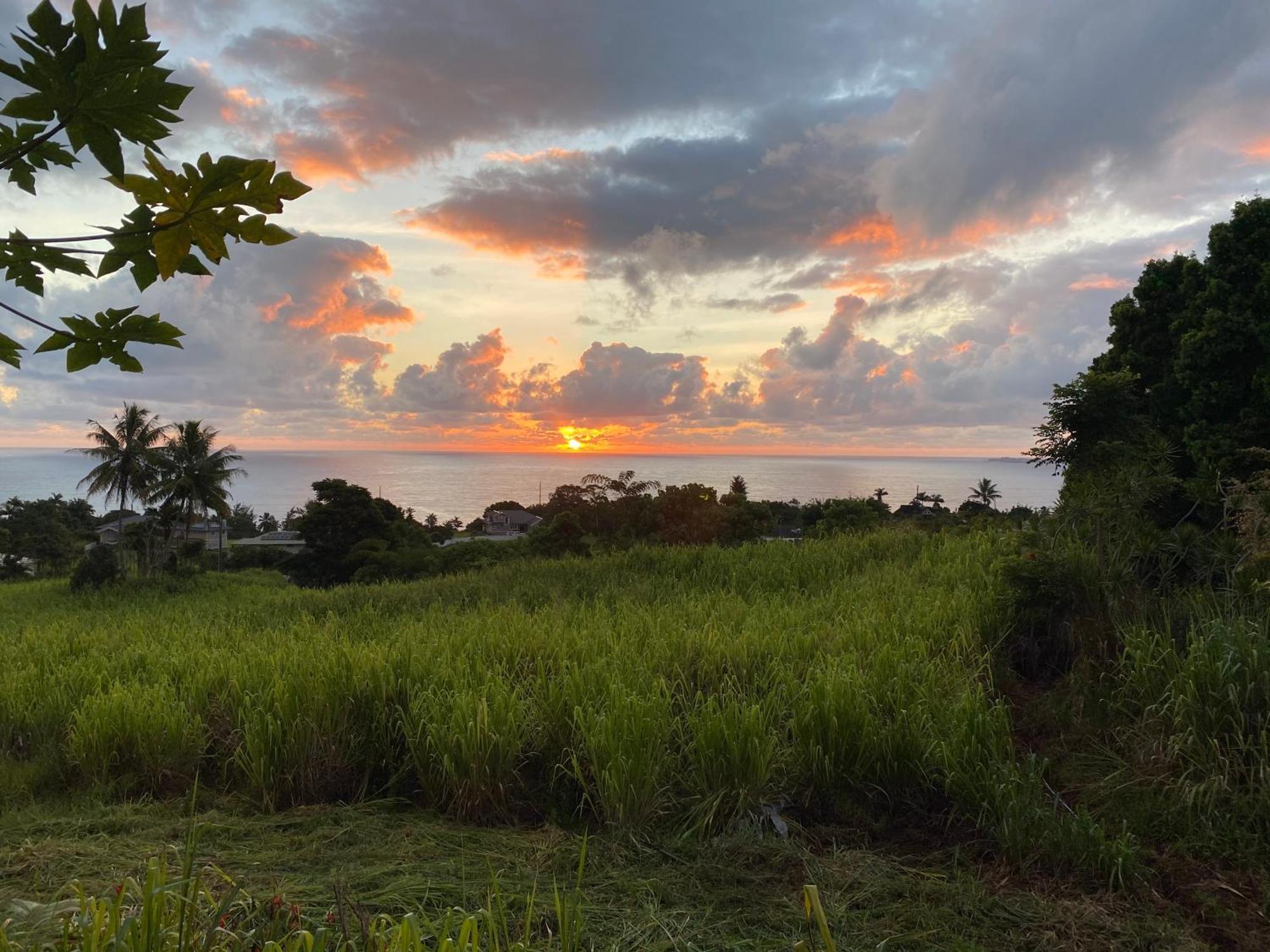 Hawaii Magic Skies Farmstay Paukaa Eksteriør bilde