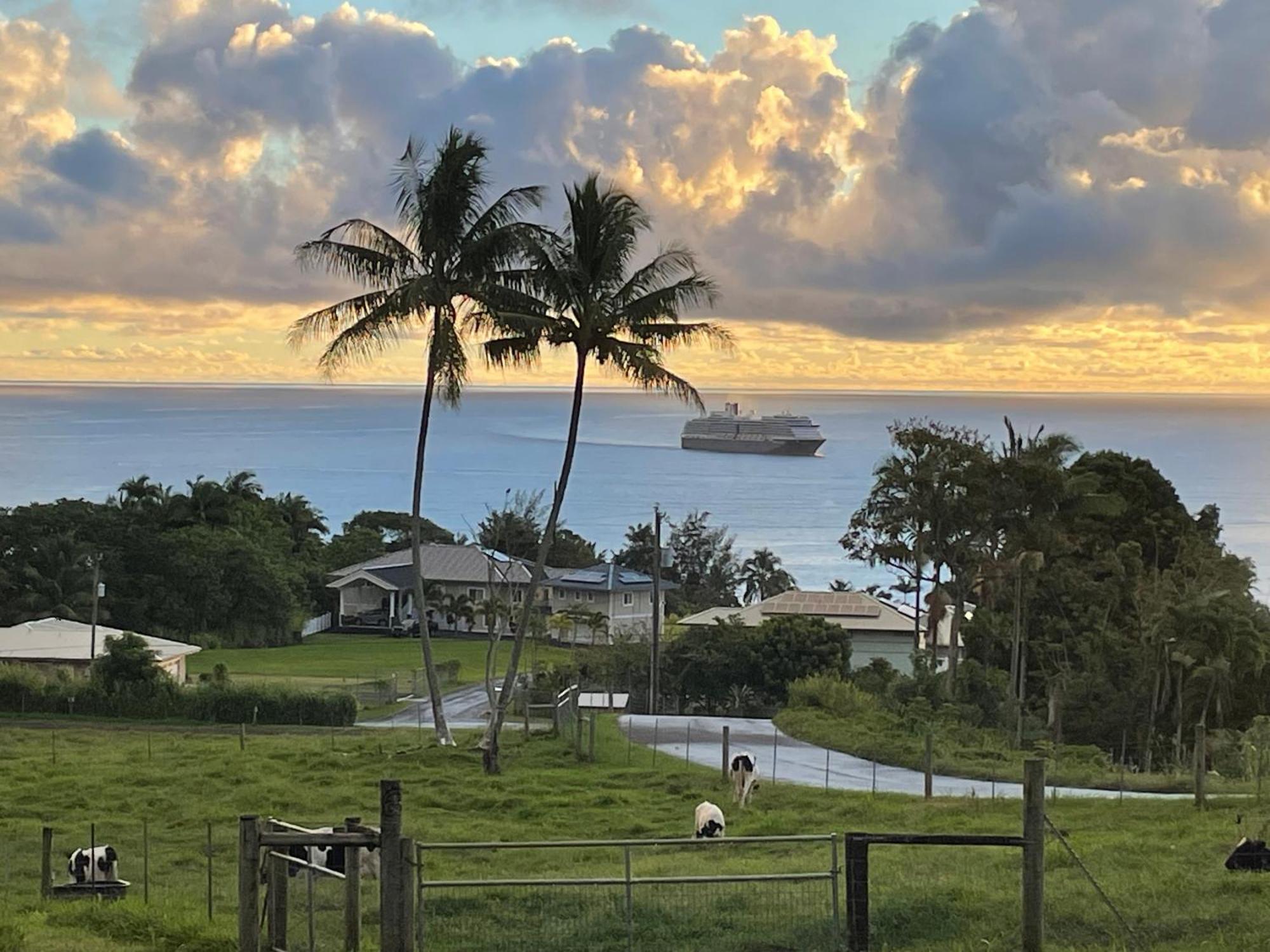 Hawaii Magic Skies Farmstay Paukaa Eksteriør bilde
