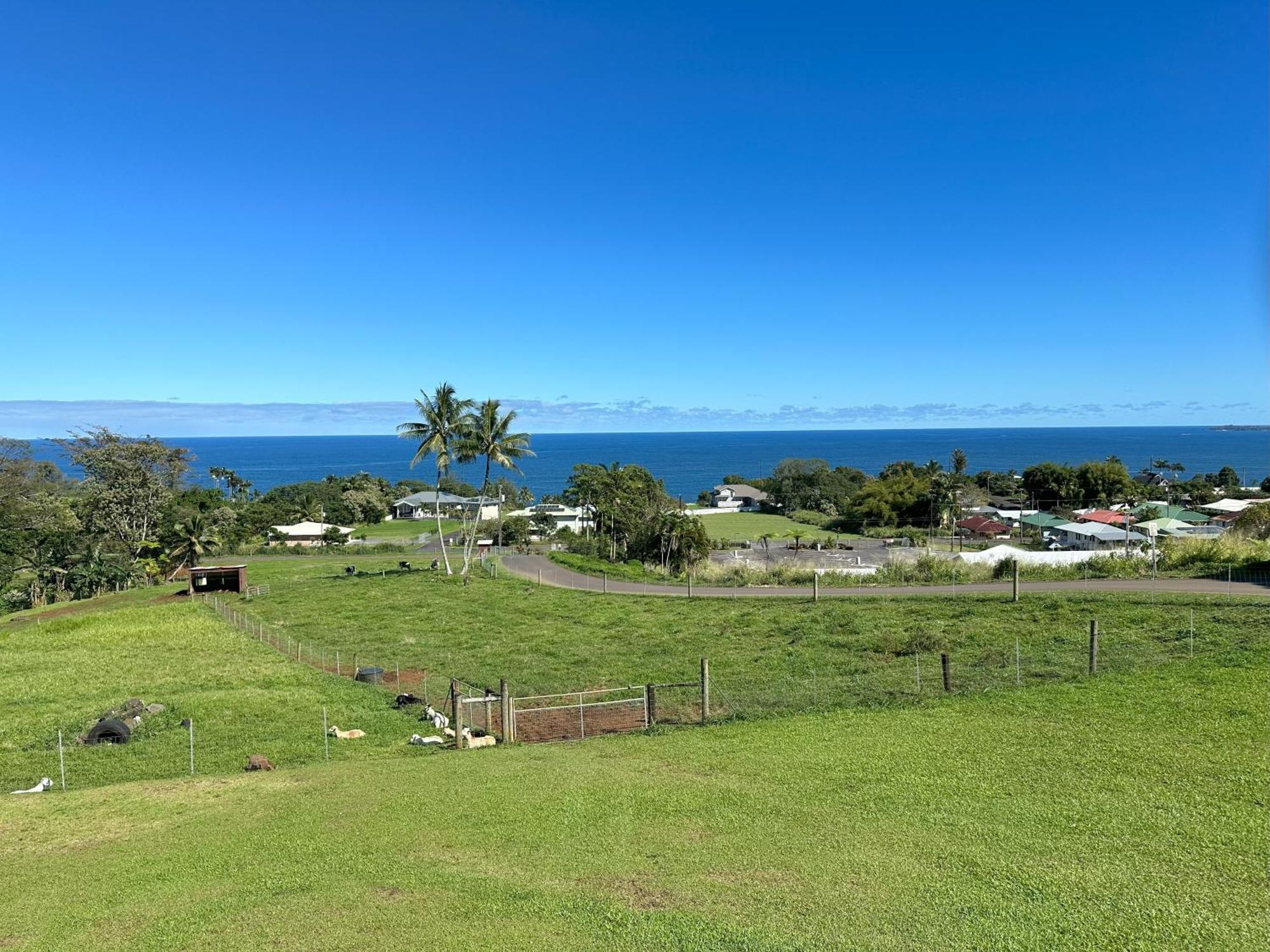 Hawaii Magic Skies Farmstay Paukaa Eksteriør bilde
